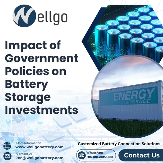 The Impact of Government Policies on Battery Energy Storage Investments in the US and Europe