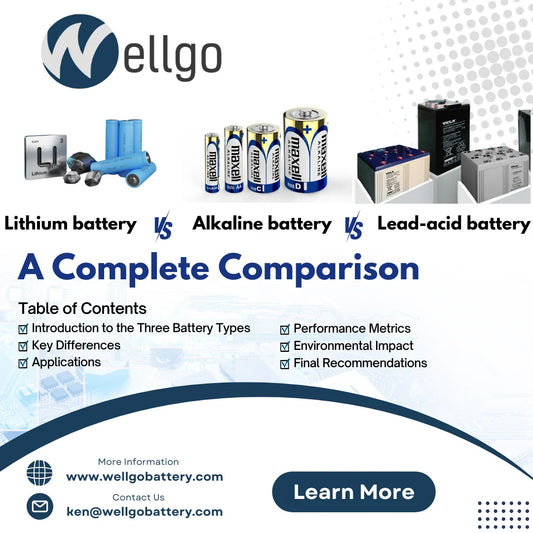 Lithium vs Alkaline vs Lead Acid Batteries: What You Need to Know